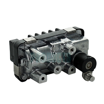 Cod. 6200056