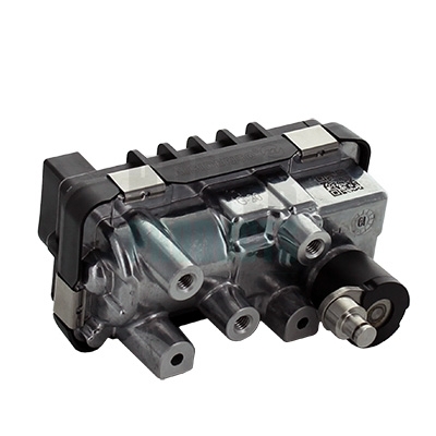 Cod. 6200066